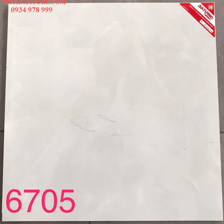 Gạch lát nền Tasa 60×60 SA6705