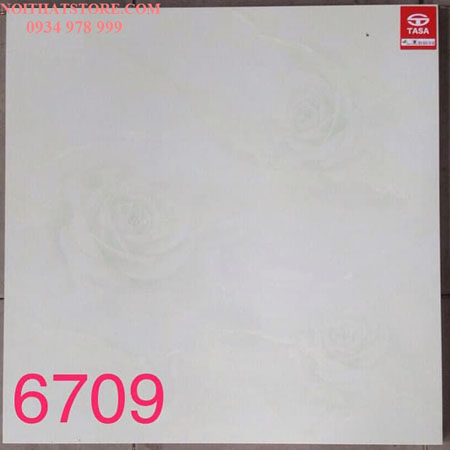 Gạch lát nền Tasa 60×60 SA6709
