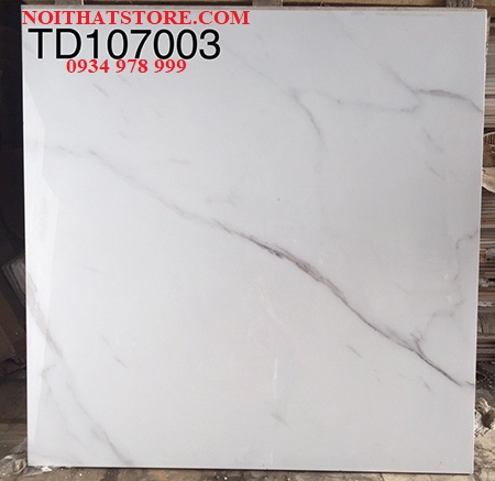 Gạch lát nền Trung Quốc 100×100 TD107003