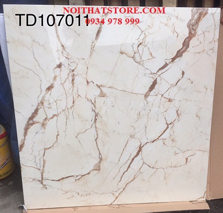Gạch lát nền Trung Quốc 100×100 TD107011
