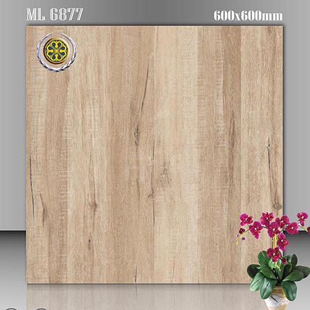 Gạch lát nền Vicenza 60×60 ML 6877