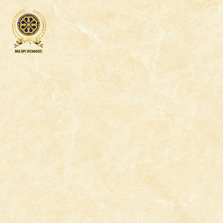 Gạch lát nền Vicenza 60×60 VC 6603C