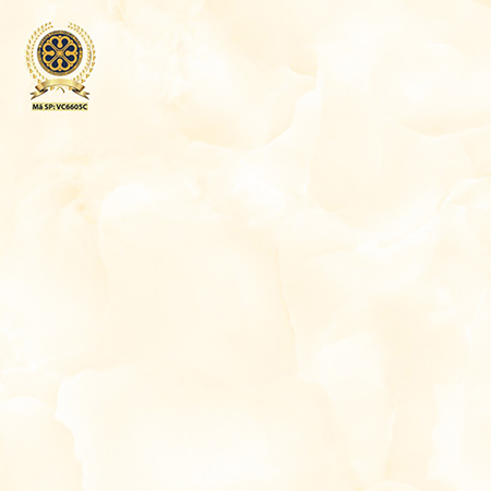 Gạch lát nền Vicenza 60×60 VC 6605C