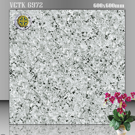 Gạch lát nền Vicenza 60×60 VCTK 6972