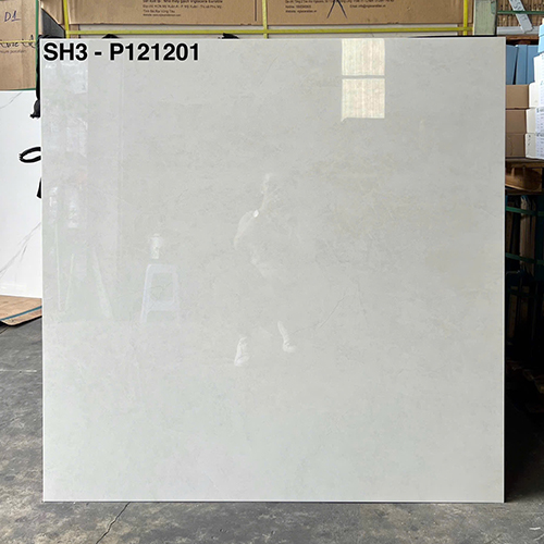 Gạch lát nền Viglacera 120×120 SH3-P121201