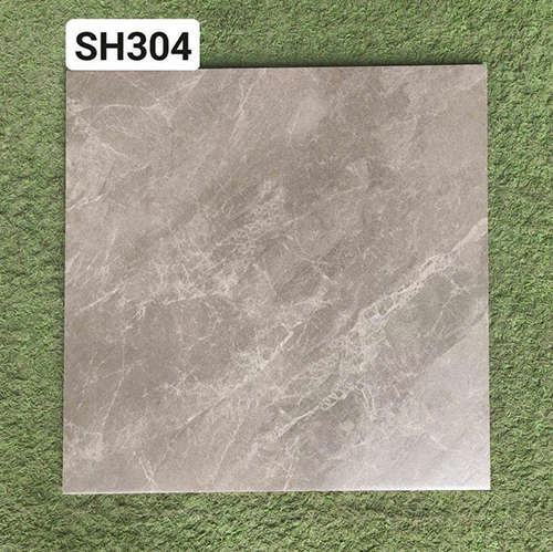 Gạch lát nền Viglacera 30×30 SH304