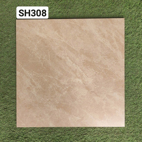 Gạch lát nền Viglacera 30×30 SH308