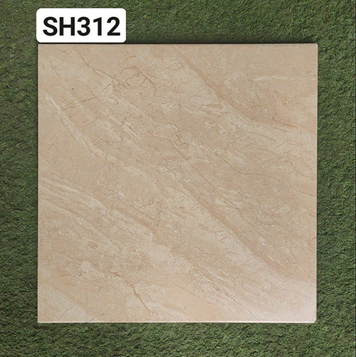 Gạch lát nền Viglacera 30×30 SH312