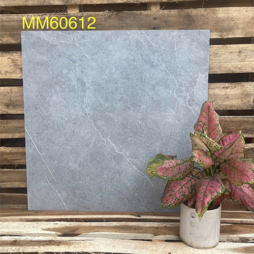 Gạch men mờ giá rẻ 60×60 MM60612