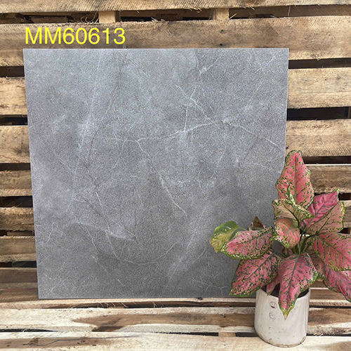 Gạch men mờ giá rẻ 60×60 MM60613