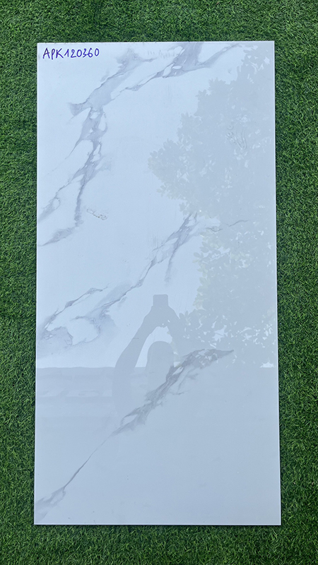 Gạch ốp lát Ấn Độ 60×120 APK120360