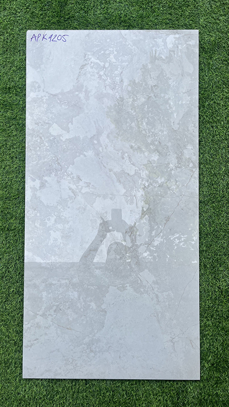 Gạch ốp lát Ấn Độ 60×120 APK1205