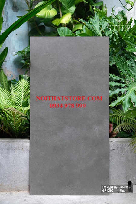 Gạch ốp lát Ấn Độ 60×120 ghi xám vân đá mờ
