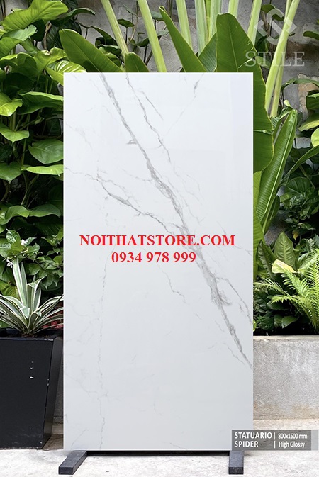 Gạch ốp lát Ấn Độ 80×160 trắng vân đá xám