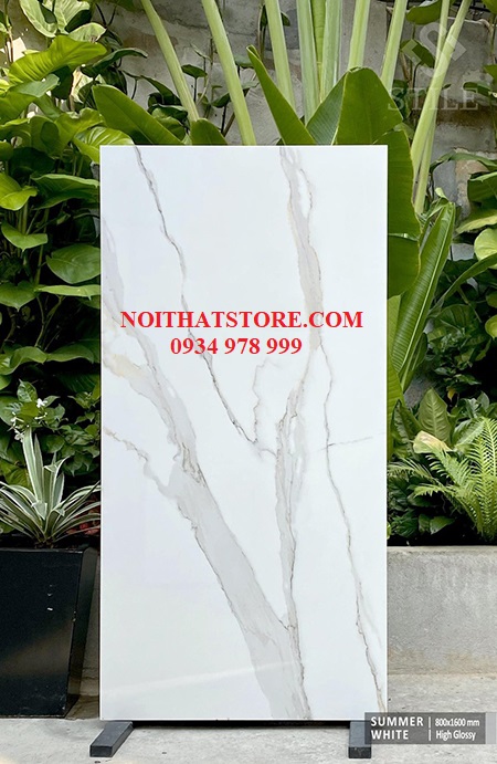 Gạch ốp lát Ấn Độ 80×160 trắng vân khói