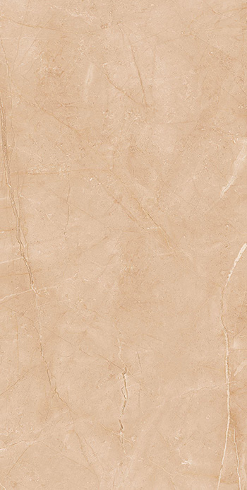 Gạch ốp lát Apodio 60×120 61183024