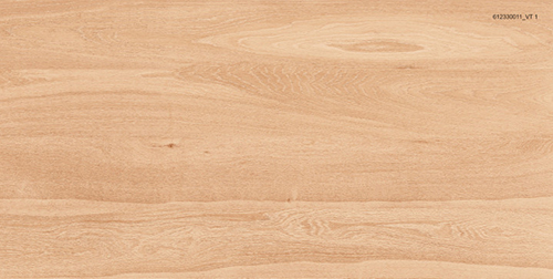 Gạch ốp lát Royal – Hoàng Gia 60×120 612330011