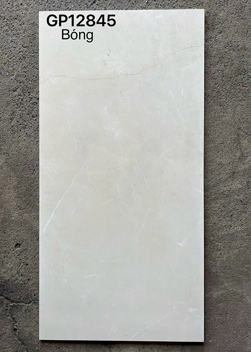 Gạch ốp lát Taicera 60×120 GP12845
