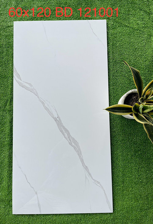 Gạch ốp lát Tasa 60×120 BD121001