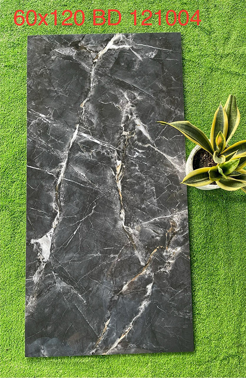 Gạch ốp lát Tasa 60×120 BD121004