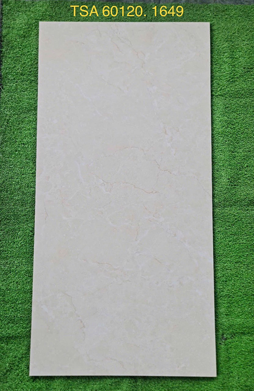 Gạch ốp lát Tasa 60×120 bóng TSA 1649