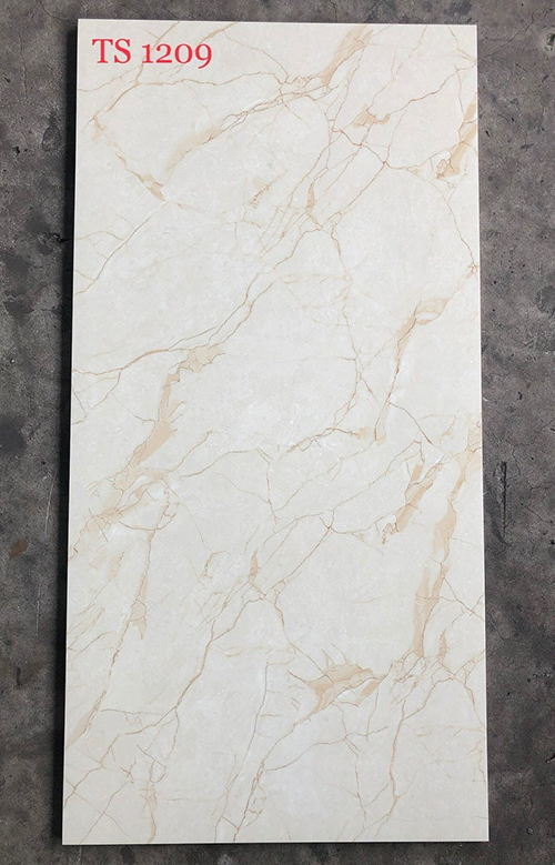 Gạch ốp lát Tasa 60×120 TS1209