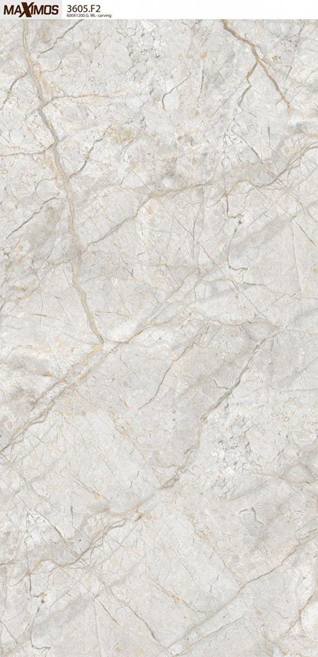 Gạch ốp lát Vitto 60×120 3605