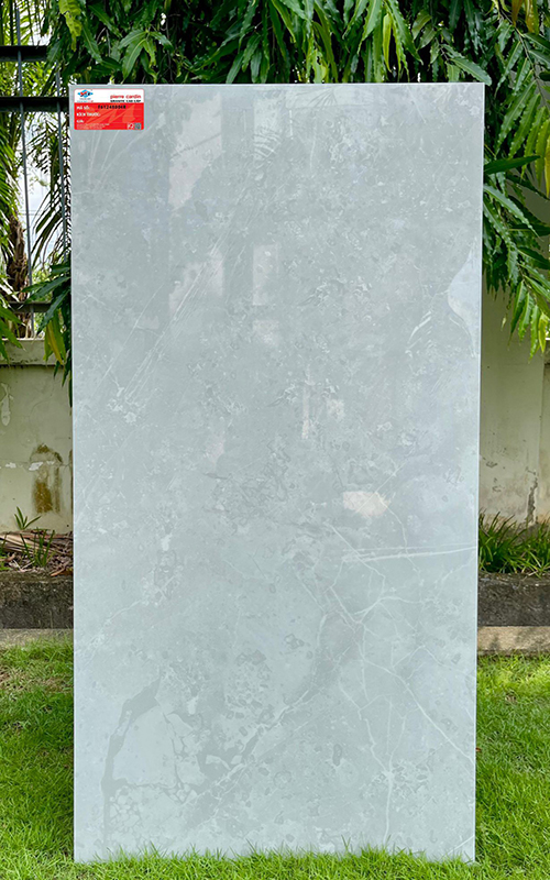 Gạch ốp lát Ý Mỹ 60×120 F61248004R