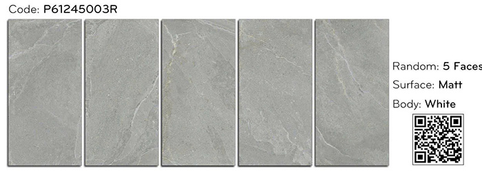 Gạch ốp lát Ý Mỹ 60×120 mờ P61245003R