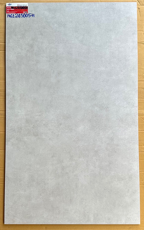 Gạch ốp lát Ý Mỹ 60×120 N61245005H mờ