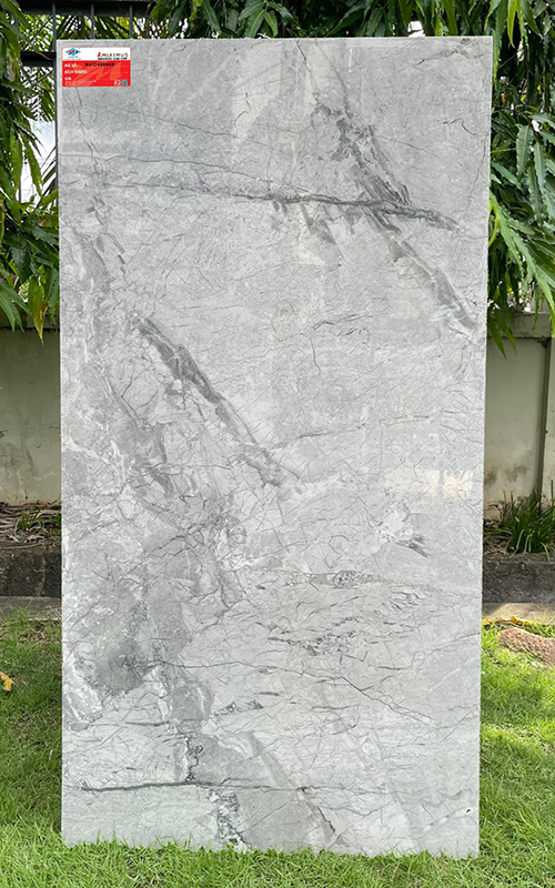 Gạch ốp lát Ý Mỹ 60×120 N61248008R