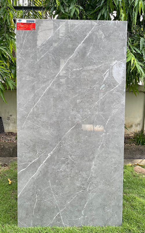 Gạch ốp lát Ý Mỹ 60×120 P61248016R