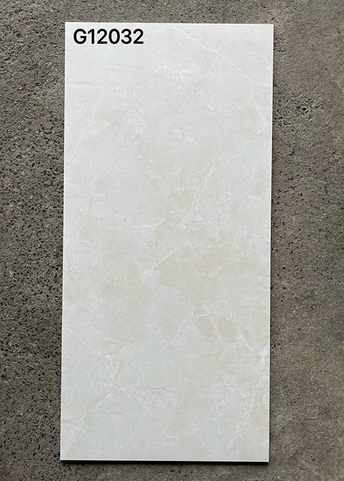 Gạch ốp lát Taicera 60×120 mờ G12032
