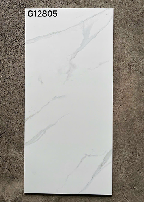 Gạch ốp lát Taicera 60×120 mờ G12805