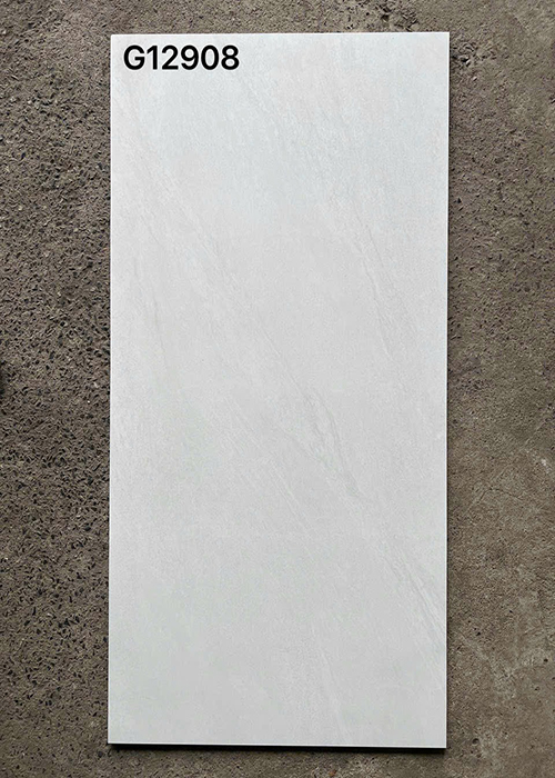 Gạch ốp lát Taicera 60×120 mờ G12908