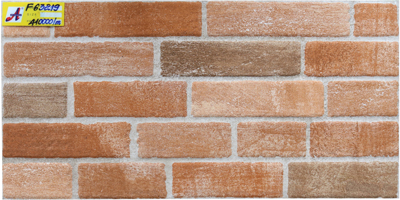 Gạch ốp tường 30×60 2XF63219