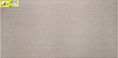 Gạch ốp tường 30×60 66N5