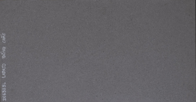 Gạch ốp tường 30×60 DE6303L
