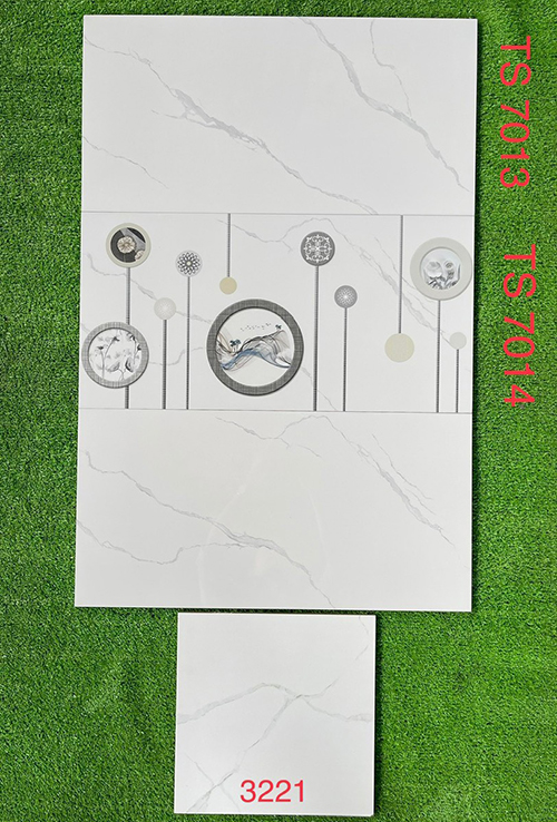 Gạch ốp tường 30×60 Tasa bóng TS7013-7014