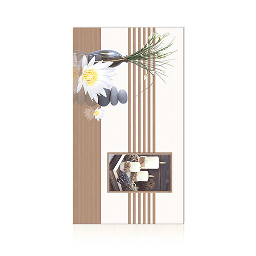 Gạch ốp tường Perfetto-Hoàn Mỹ 30×60 4129