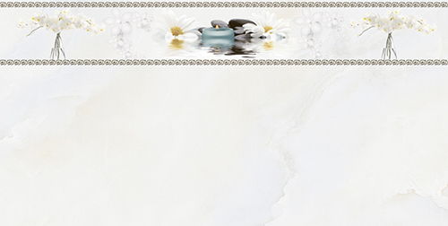Gạch ốp tường Prime 30×60 8565