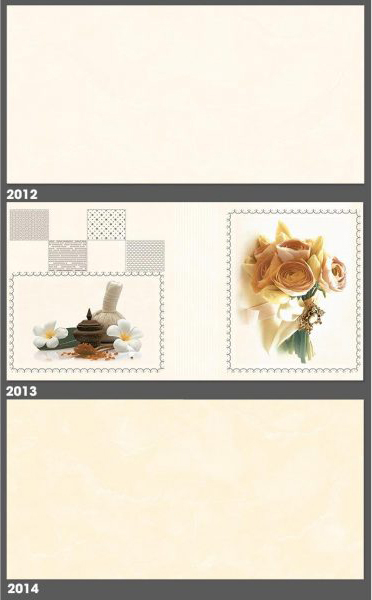Gạch ốp tường Tasa 30×60 2012-2013-2014