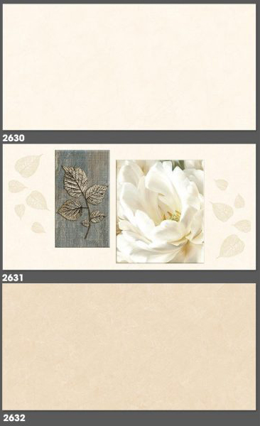 Gạch ốp tường Tasa 30×60 2630-2631-2632