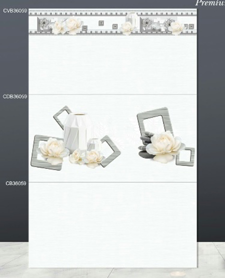Gạch ốp tường TTC 30×60 CB36059