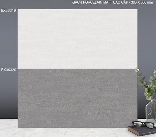Gạch ốp tường TTC 30×60 EX36319-EX36320 đá nhám