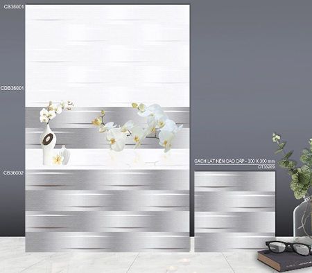 Gạch ốp tường TTC 30x60CB36001-CB36002