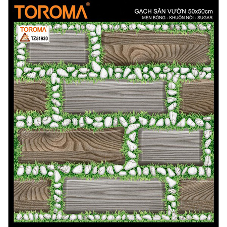 Gạch sân vườn 50×50 TZ51930