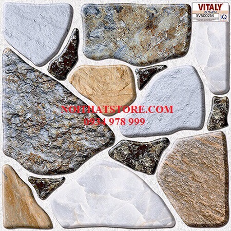 Gạch sân vườn giá rẻ 50×50 SV5002M