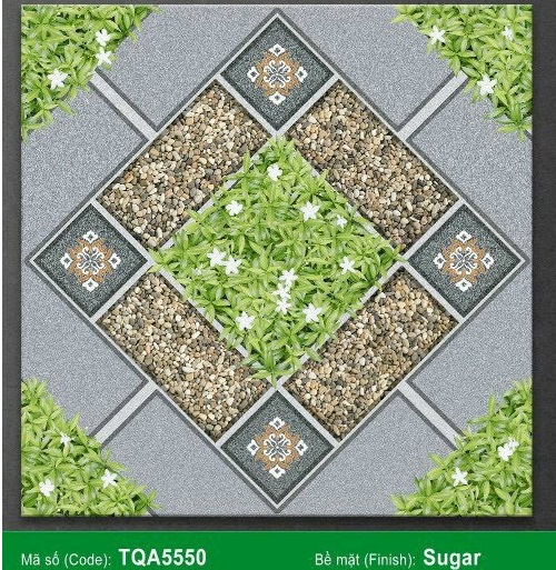 Gạch sân vườn giá rẻ 50×50 TQA5550