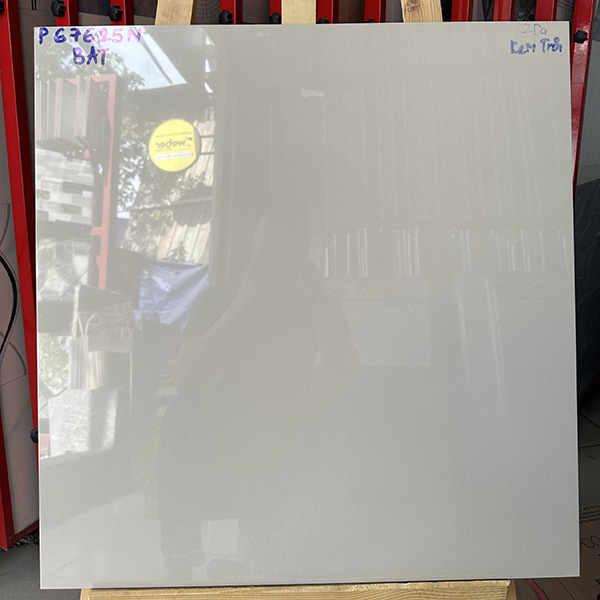 Gạch Taicera 2 da 60×60 P67625N kem trơn